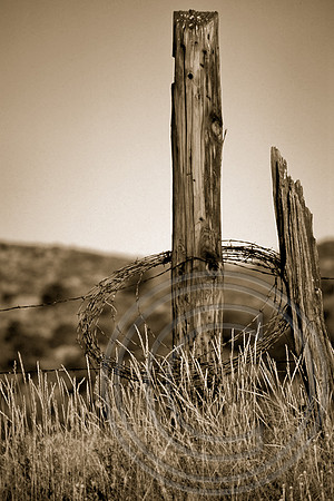Lyons, Colorado